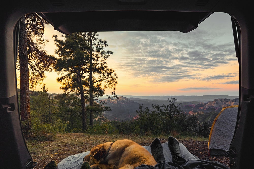 camper's view